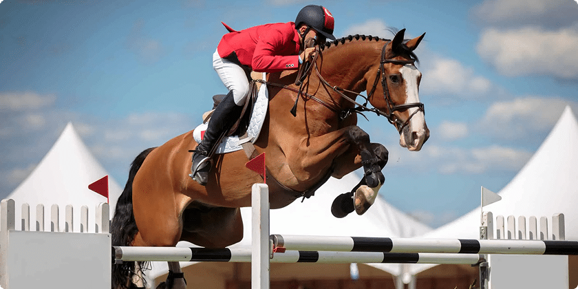 Springreiter mit Pferd beim Sprung über ein Turnierhindernis, der zeigt, wie Mentaltraining für Reiter Konzentration, Vertrauen und mentale Stärke im Parcours fördert.