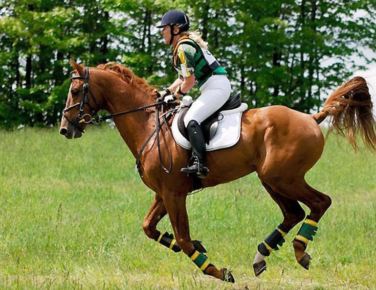 Vielseitigkeitsreiterin im Galopp über eine Wiese, die mit Mentaltraining für Reiter Fokus, Vertrauen und Sicherheit im Gelände aufbaut.